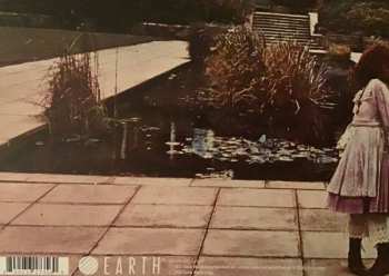 LP Trees: On The Shore