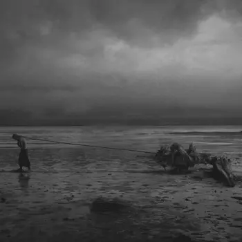 Treha Sektori: Severh Sehenh