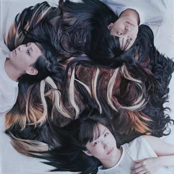 LP Tricot: A N D CLR | LTD | DLX