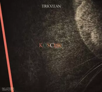 Koschki
