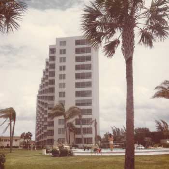 LP Triptides: Sun Pavilion CLR | LTD