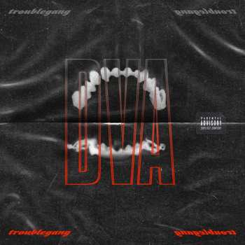 Album TroubleGang: Dva