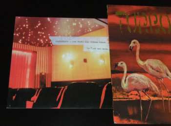 LP Turbostaat: Flamingo LTD