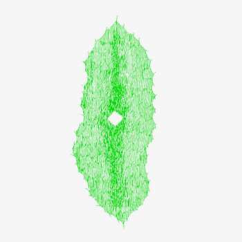 Album TV Dust: Transition