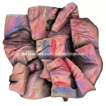 Two Dead Cats: Gaticulo Indeterminado