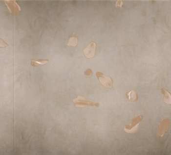 CD Tyler Shaw: Tyler Shaw - 葉銘恆