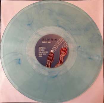 LP Upright Forms: Blurred Wires CLR | LTD