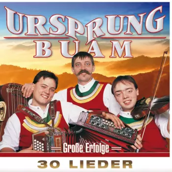 Große Erfolge: 30 Lieder
