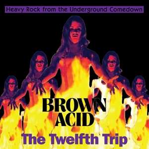 LP Various: Brown Acid: The Twelfth Trip