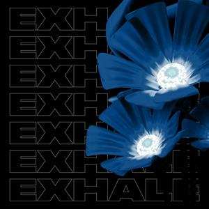 LP Various: Exhale Va004 (part 1)