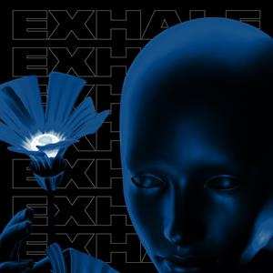 LP Various: Exhale Va004 (part 2)