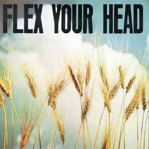 LP Various: Flex Your Head