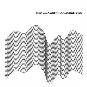 2LP Various: Medium Ambient Collection 2022