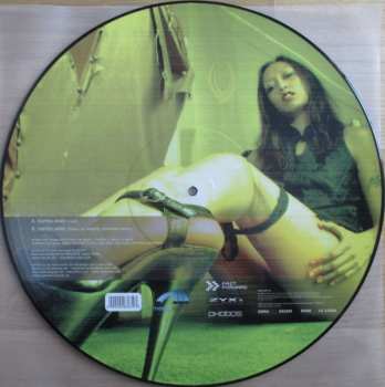 5LP/Set di cofanetti Various: 12" Collector's Picture Vinyl Box House LTD | NUM | PIC