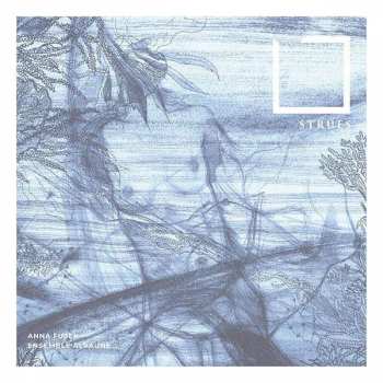 CD Various: Anna Fusek & Ensemble Alraune - Strues