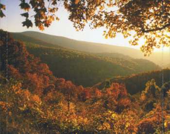 CD Various: Appalachian Picking Society