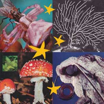 LP Various: All Things Considered 02
