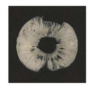 Album Various: Cycles Ii