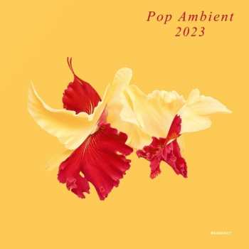 LP Various: Pop Ambient 2023