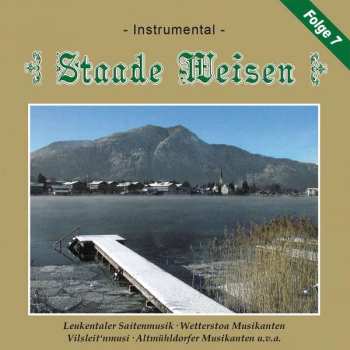 CD Various: Staade Weisen Vol. 7 - Instrumental