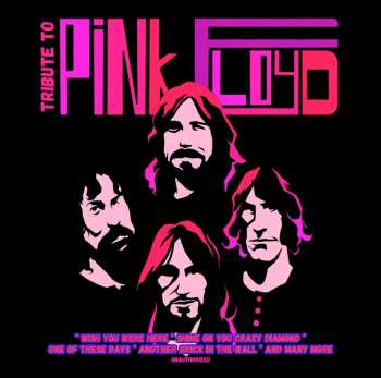 CD Various: Tribute To Pink Floyd