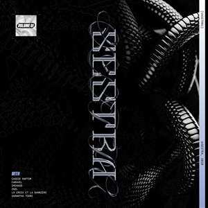 LP Various: Vasstr01 - Vol. 1