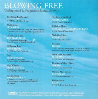 4CD/Set di cofanetti Various: Blowing Free: Underground & Progressive Sounds Of 1972