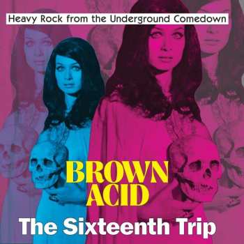 CD Various: Brown Acid: The Sixteenth Trip (Heavy Rock From The Underground Comedown) DIGI