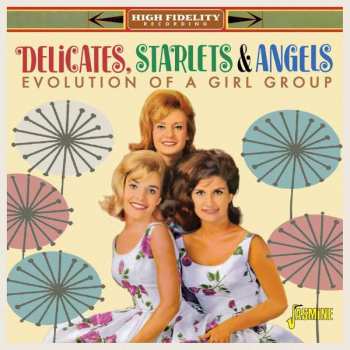 CD Various: Delicates, Starlets & Angels - Evolution Of A Vocal Group