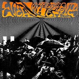 CD Various: Everywhere Interferences