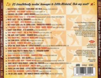 CD Various: Holy Mackerel! Pretenders To Little Richard's Throne