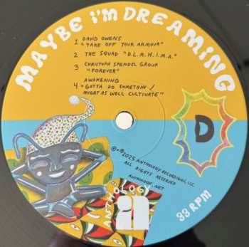 2LP Various: Maybe I'm Dreaming 