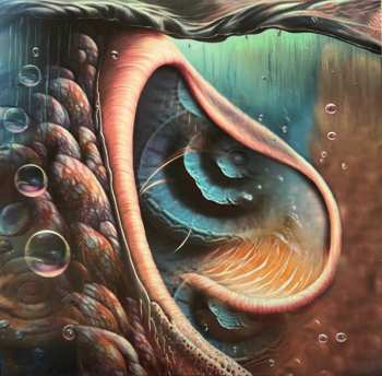 Album Various: Meddle Reimagined - A Tribute To Pink Floyd