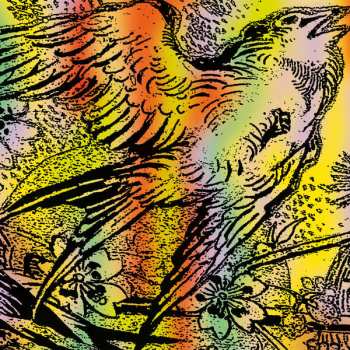 Album Various: One Swallow Doesn’t Make A Summer Part 7