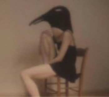 Album Various: Penguin Cafe Orchestra - Tribute