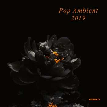 Album Various: Pop Ambient 2019
