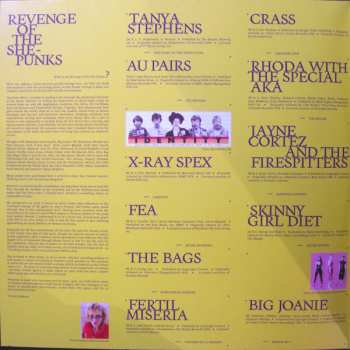 2LP Various: Revenge Of The She-Punks - A Feminist Music History