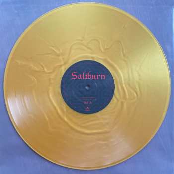 LP Various: Saltburn (Music From The Motion Picture)