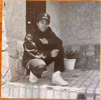 9CD/Set di cofanetti Various: Smithsonian Anthology of Hip-Hop and Rap