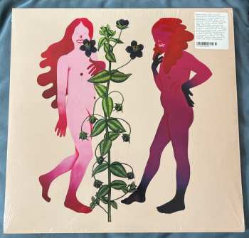 2LP Various: Someone Like Me