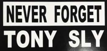 2LP Various: The Songs Of Tony Sly: A Tribute CLR
