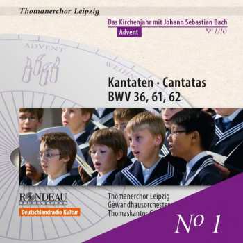 CD Various: Thomanerchor Leipzig - Das Kirchenjahr Mit Bach Vol.1