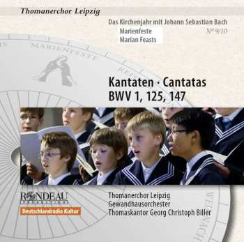 CD Various: Thomanerchor Leipzig - Das Kirchenjahr Mit Bach Vol.9