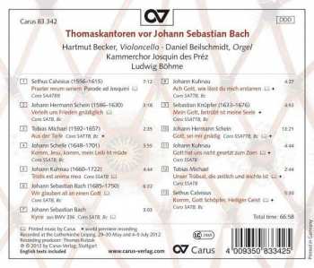 CD Various: Thomaskantoren Vor Johann Sebastian Bach