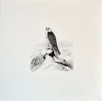 LP Various: Todo Muere Volume 4
