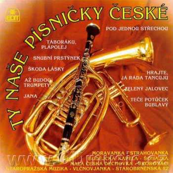 Album Various: Ty Naše Písničky české - Cd