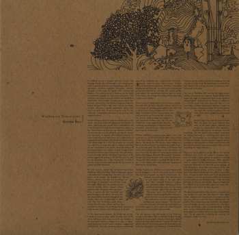 2LP Various: Wayfaring Strangers: Guitar Soli