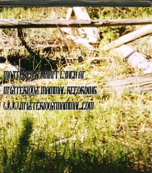 2CD Various: Welcome Back To MeteorCity