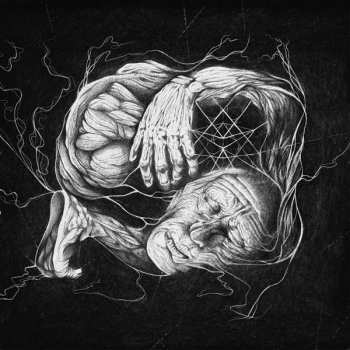 Album Verberis: Vorant Gnosis