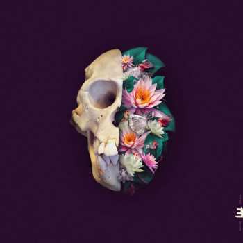 CD Verneri Pohjola: Monkey Mind